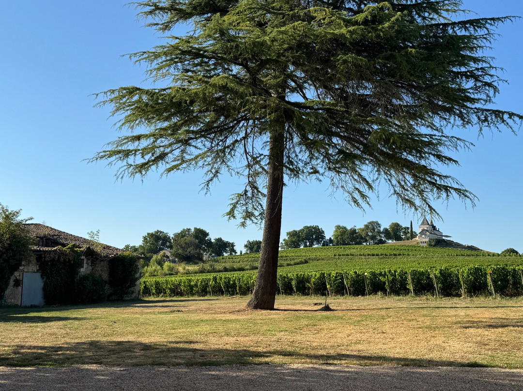 Chateau Richelieu主图