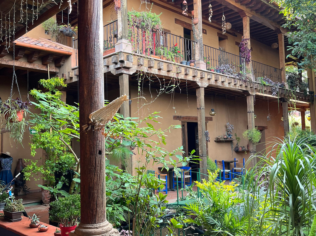 Hotel Posada Yolihuani主图