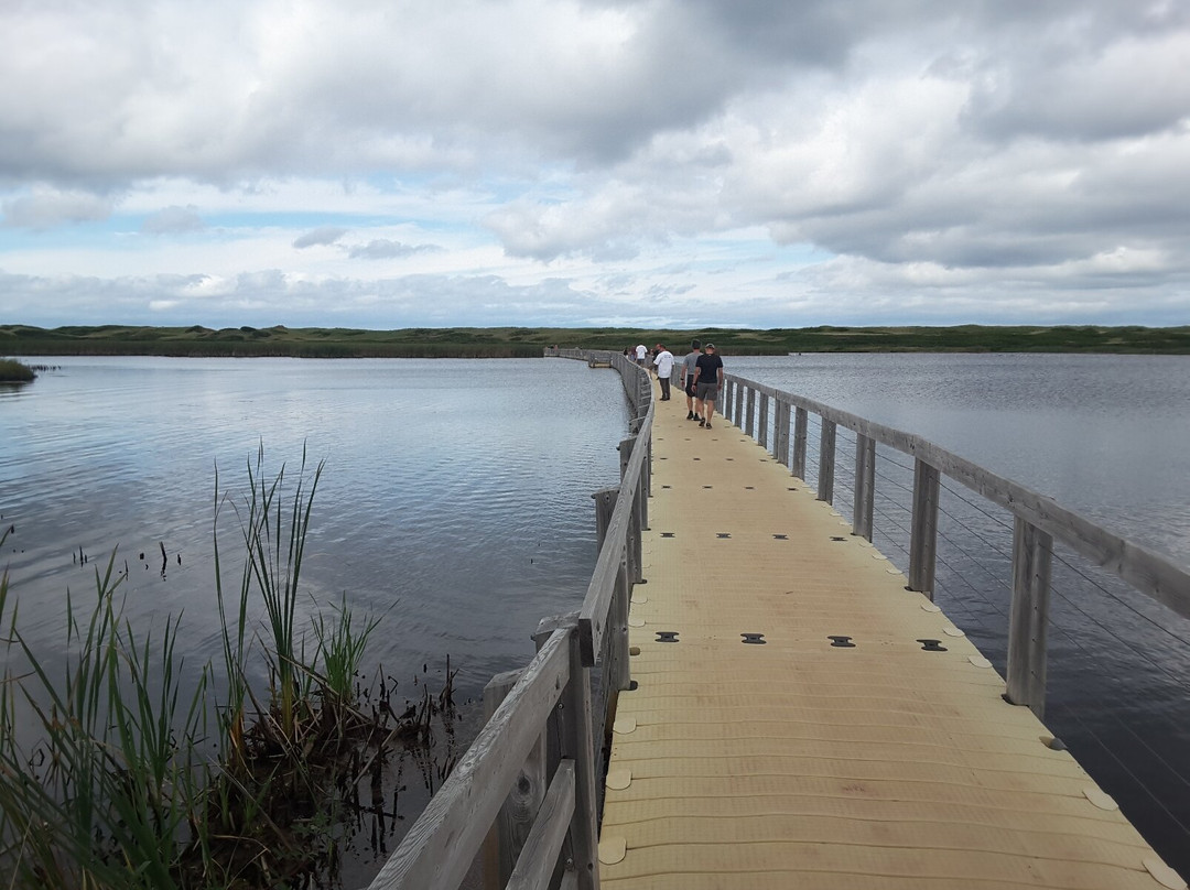 Canadas Best Value Inn & Suites Summerside主图