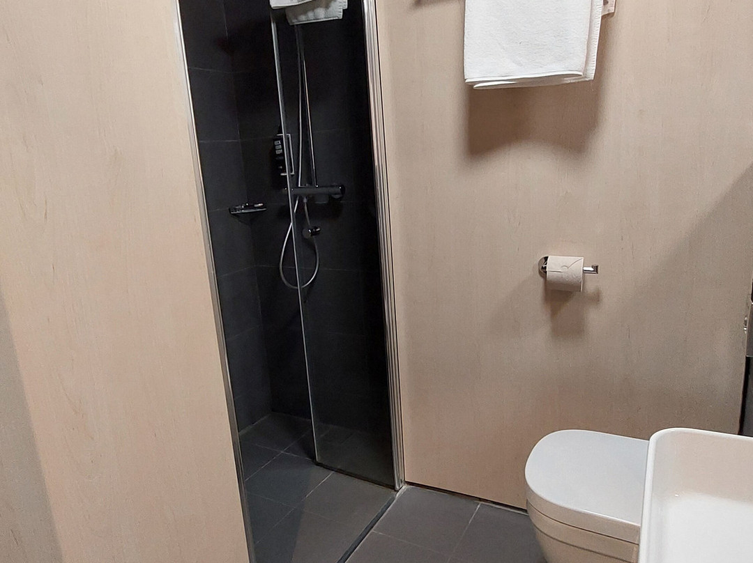 ibis Timisoara City Center主图