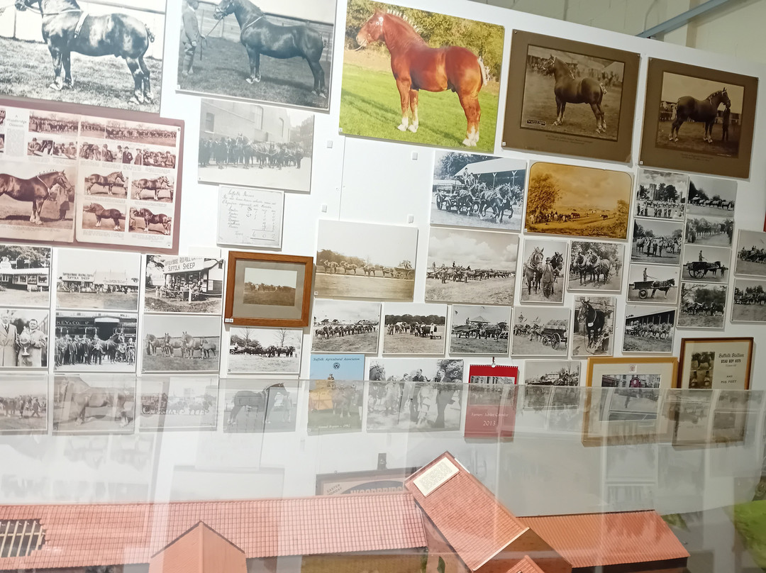 Suffolk Punch Trust-Hollesley必去景点