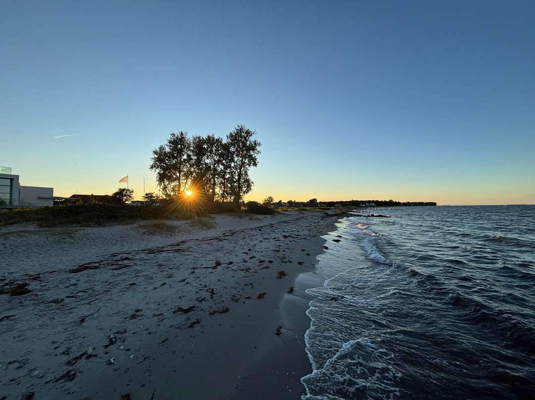 Storebaelt Sinatur Hotel & Konference主图