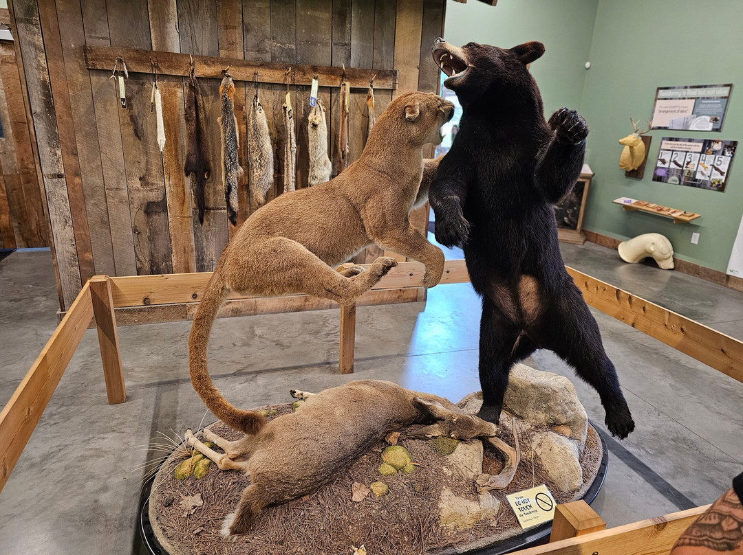 Outdoor Discovery Center-荷兰村必去景点