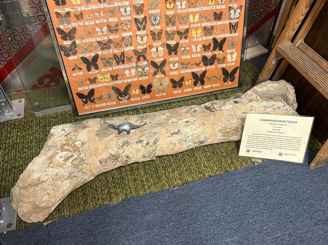 Hicksville Gregory Museum