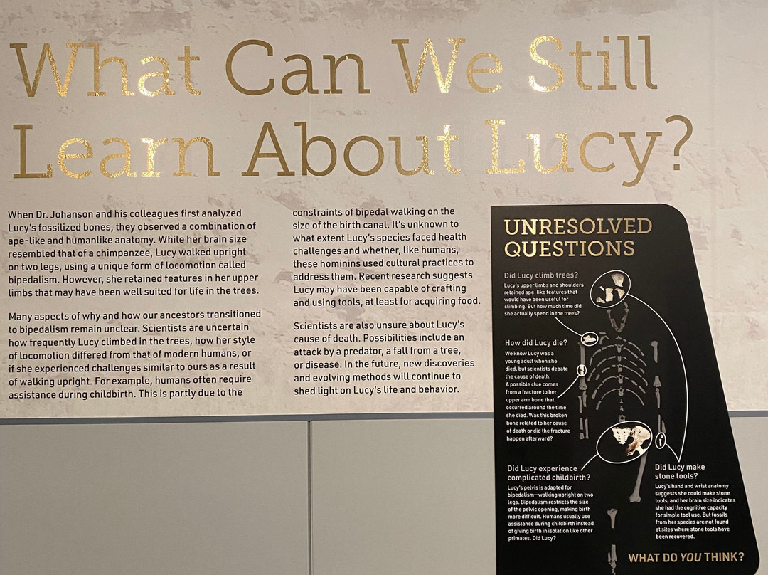 Cleveland Museum of Natural History-克利夫兰必去景点