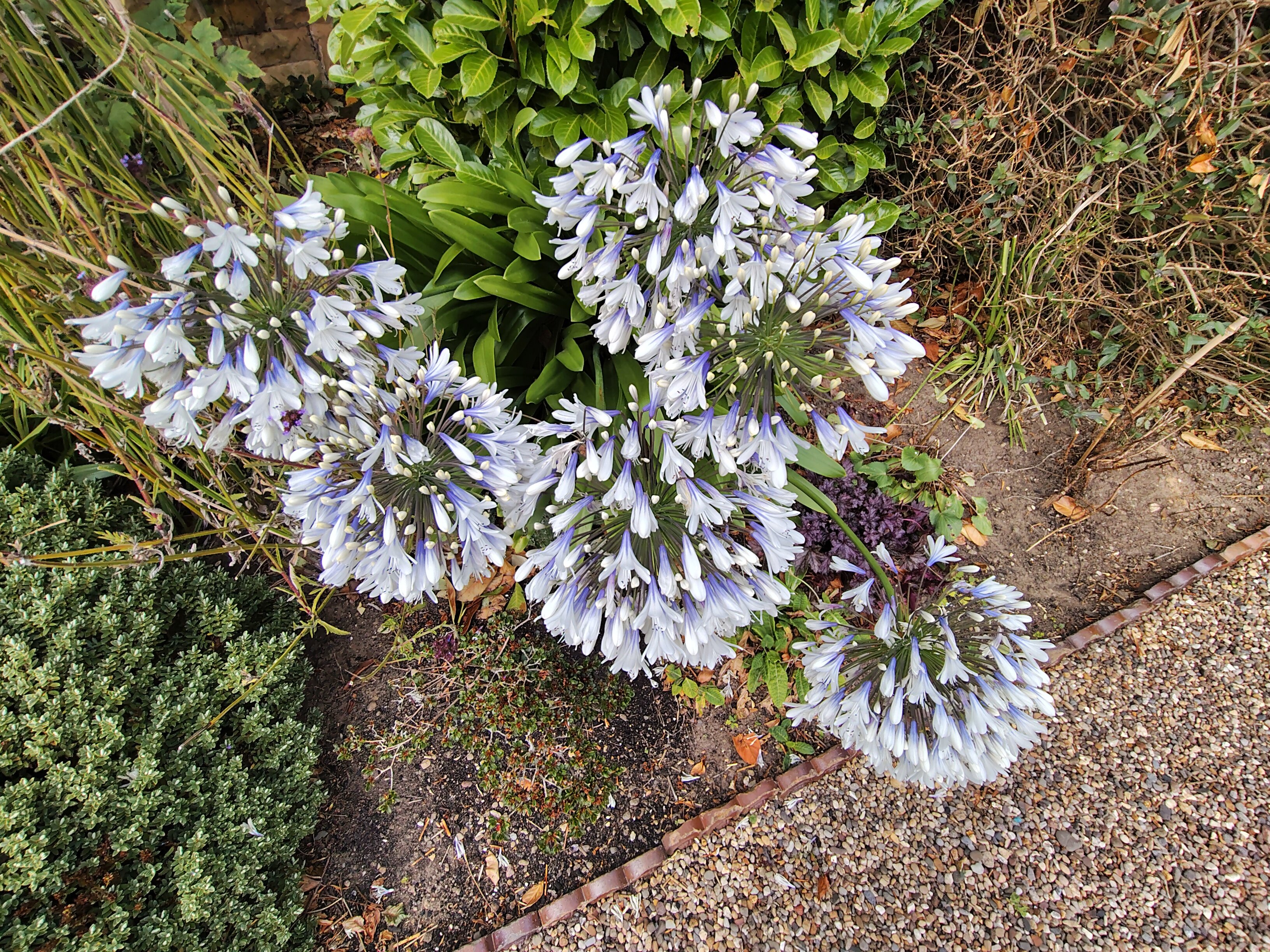 Wrea Head Hall-浴室