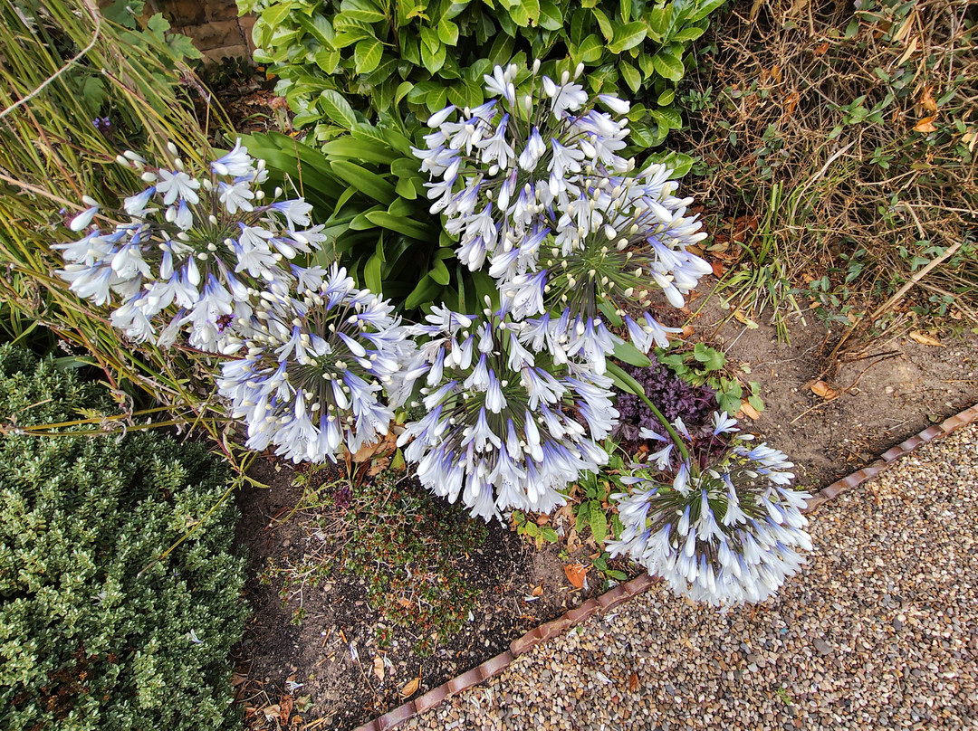 Wrea Head Hall主图