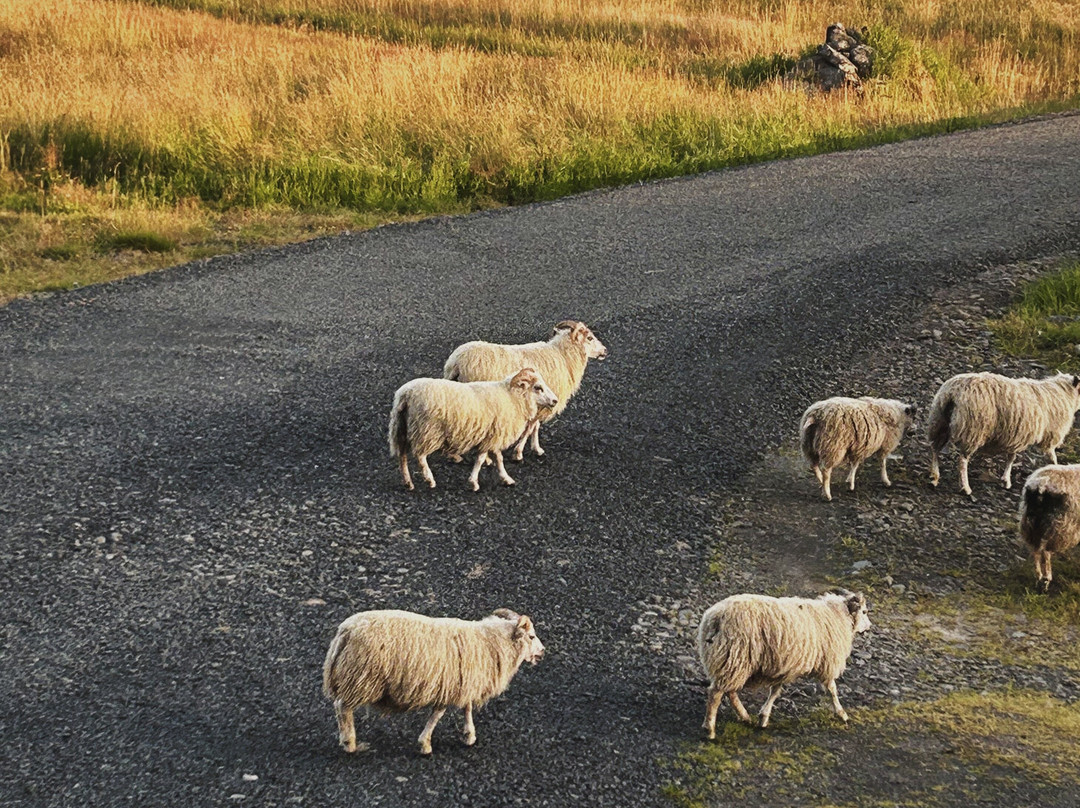 Travel North-胡萨维克必去景点