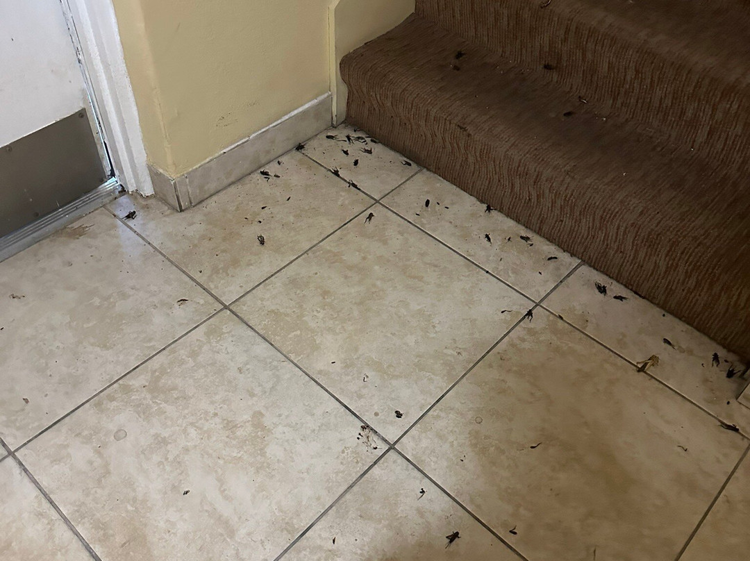 La Quinta Inn & Suites by Wyndham Brownwood主图