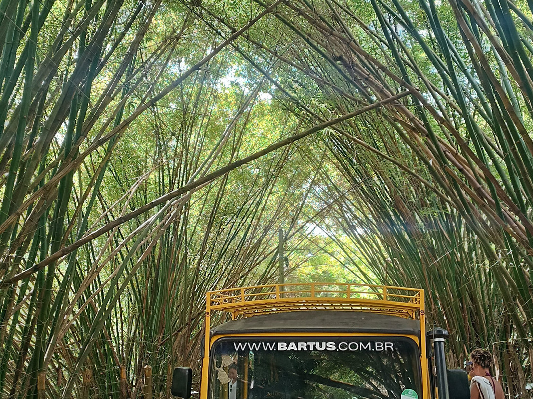BARTUS Experiências-Bananeiras必去景点