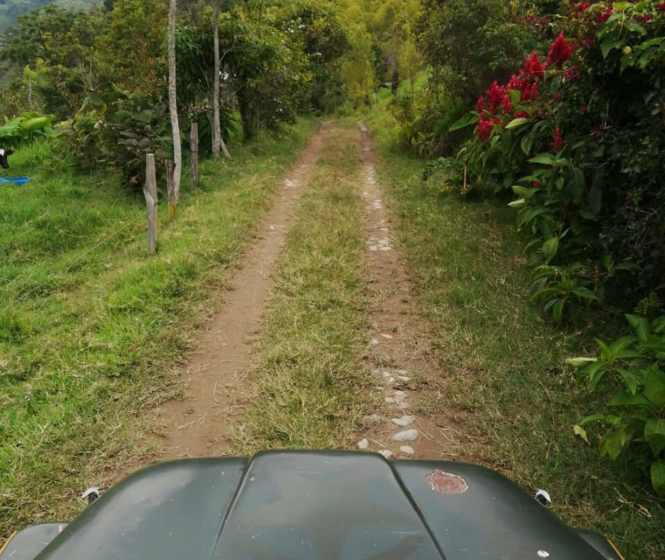 Bio Onda-Pijao必去景点