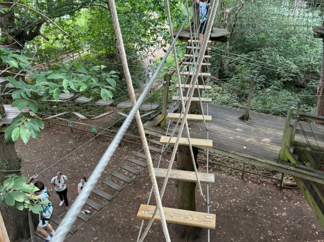 Go Ape Leeds Castle-Leeds必去景点
