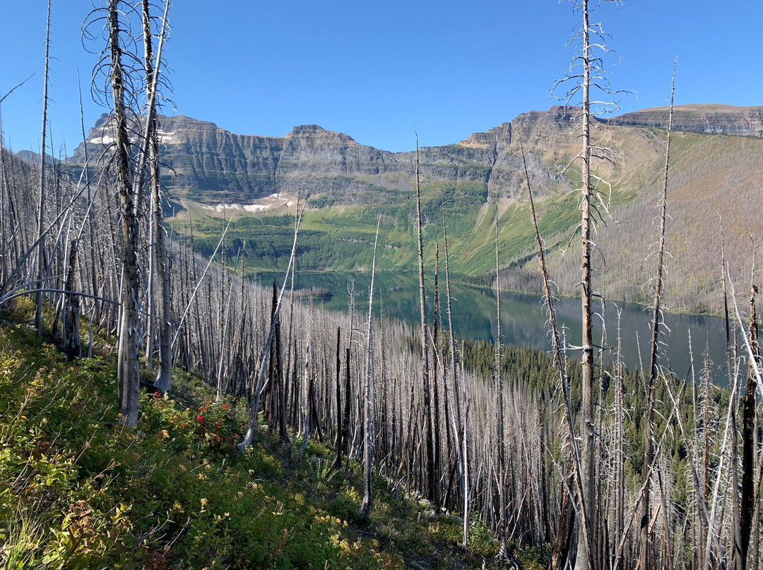卡梅隆湖-沃特顿湖国家公园必去景点