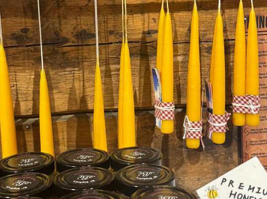 Gallery Katrine Lund-卑尔根必去景点