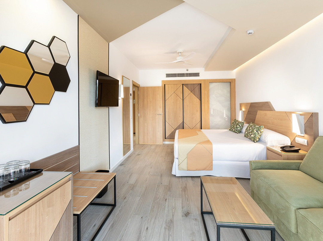 Hotel Riu Buenavista主图