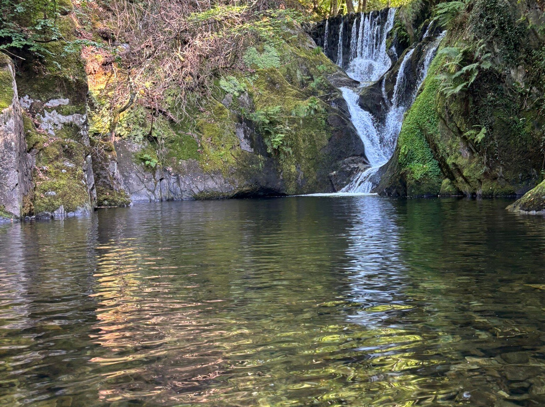 Dyfi Furnace-Machynlleth必去景点