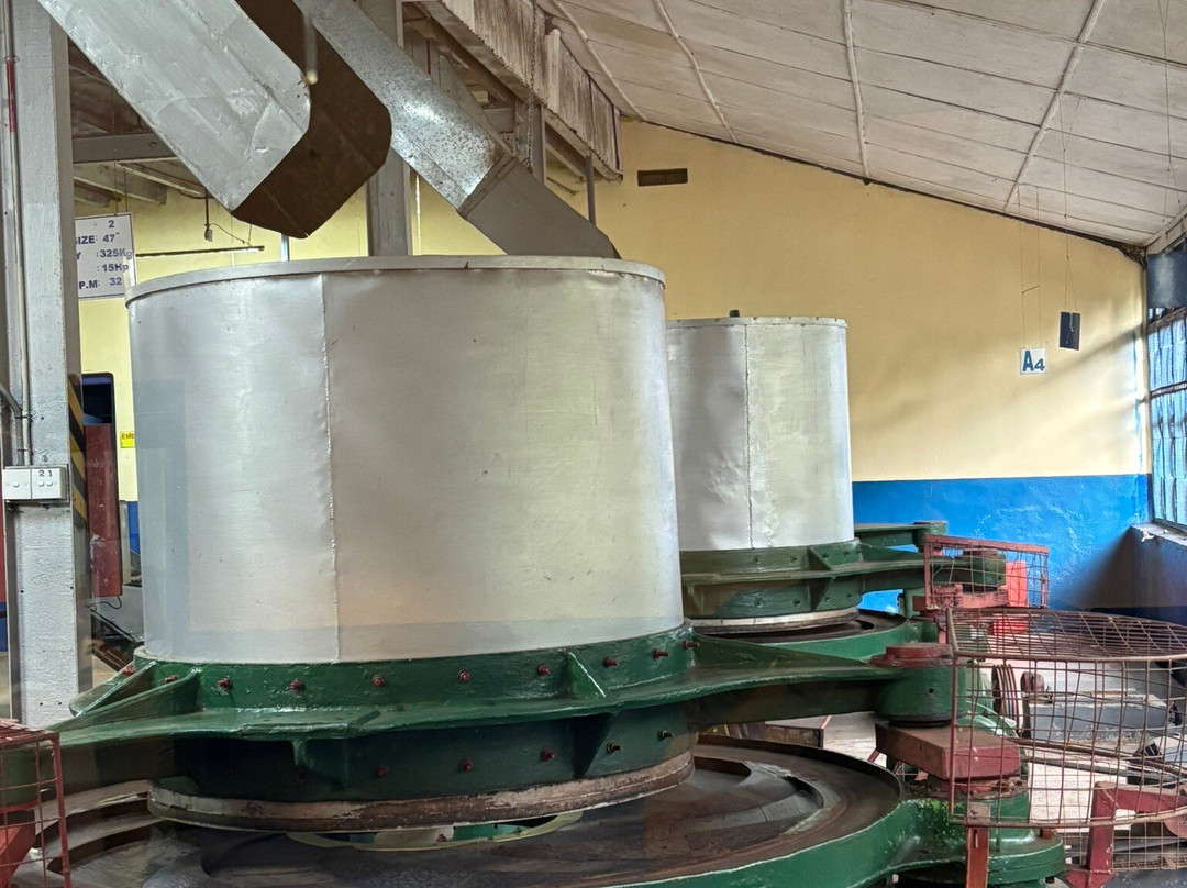 蓝田茶园-奴娃拉伊利雅必去景点