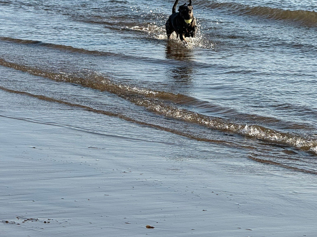 Walney Island-Walney必去景点