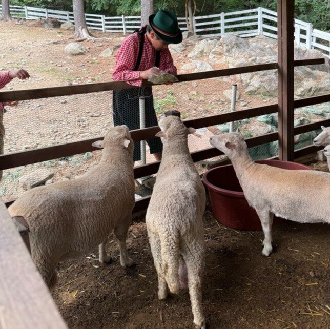 Edelweiss-加平郡必去景点