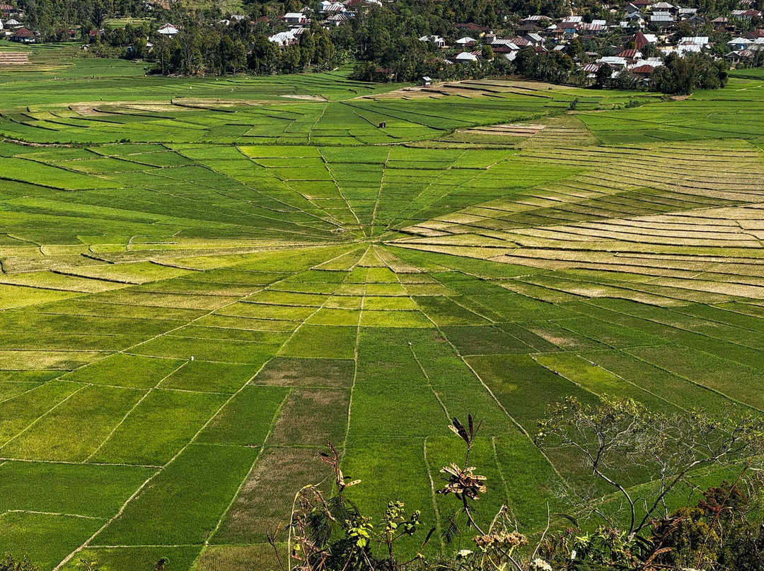 Flores Dreamland Tour moni-Moni必去景点