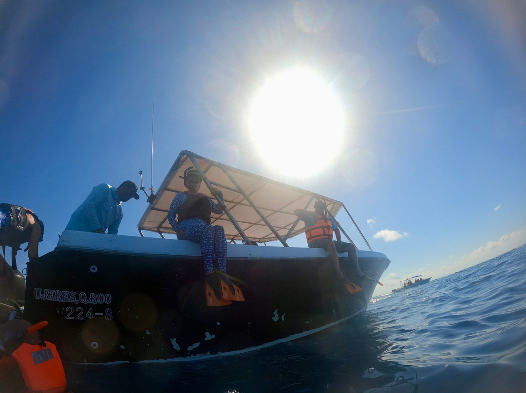 Sea Hawk Divers-女人岛必去景点