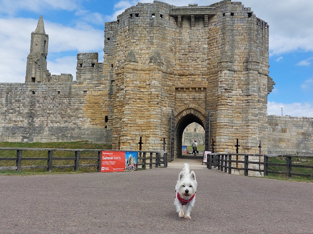 Warkworth Castle-Warkworth必去景点