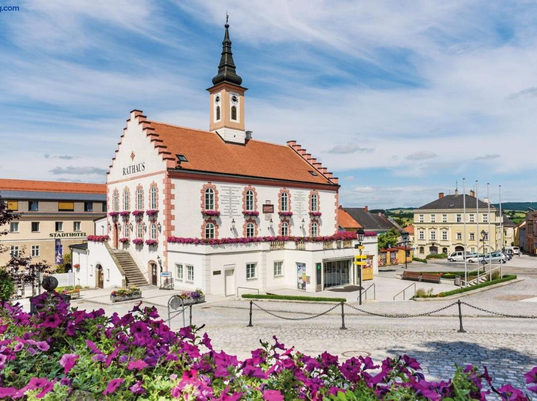 Eschenau酒店住宿-Stadthotel Waidhofen an der Thaya