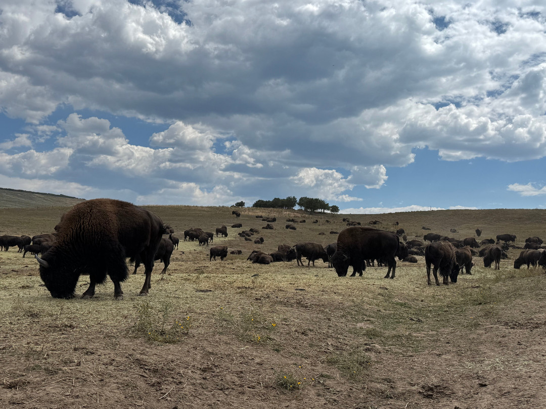 Lucky 8 Ranch-Oak Creek必去景点