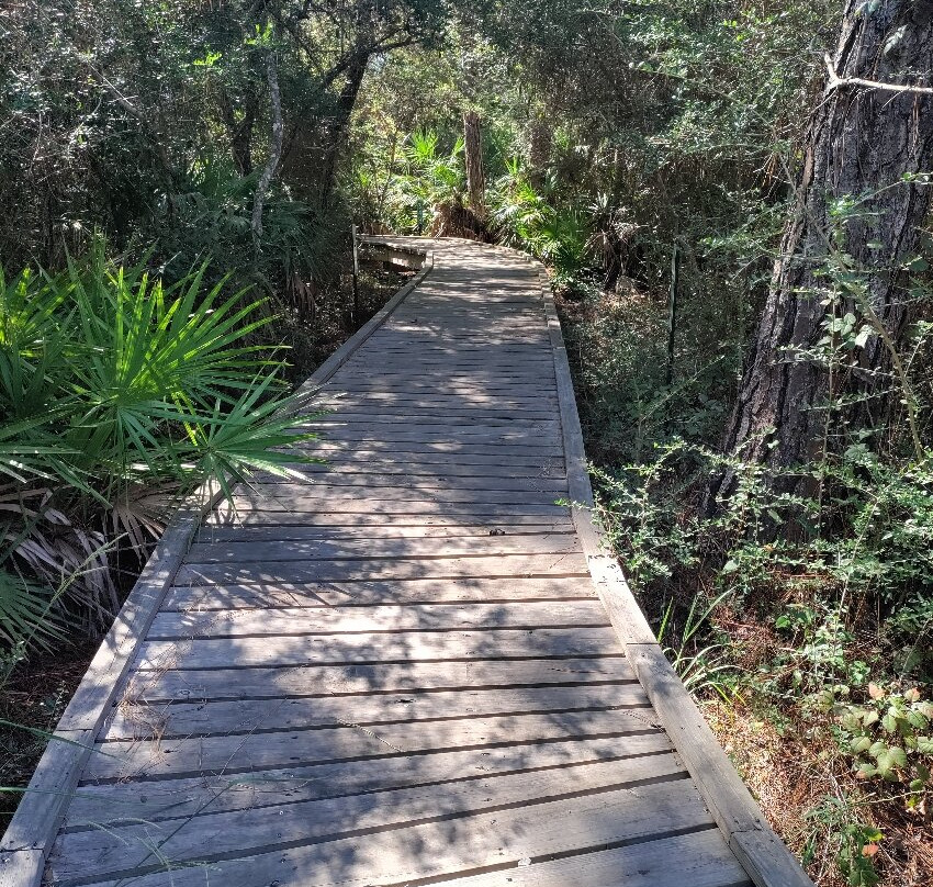 Apalachicola National Estuarine Research Reserve-Eastpoint必去景点
