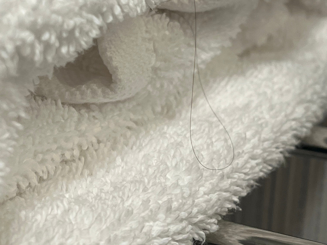 贝斯特韦斯特洛克波特优质酒店主图