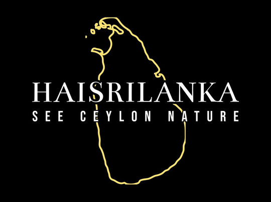 Hai Sri Lanka Tours-科伦坡必去景点
