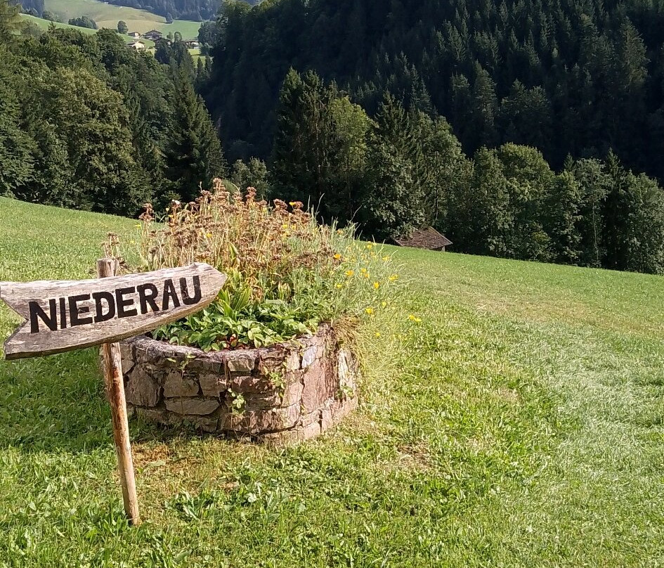 Pension Enzian主图