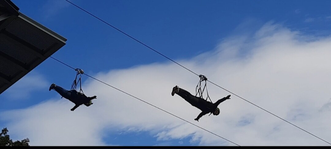 Harzdrenalin - Megazipline-Elbingerode必去景点