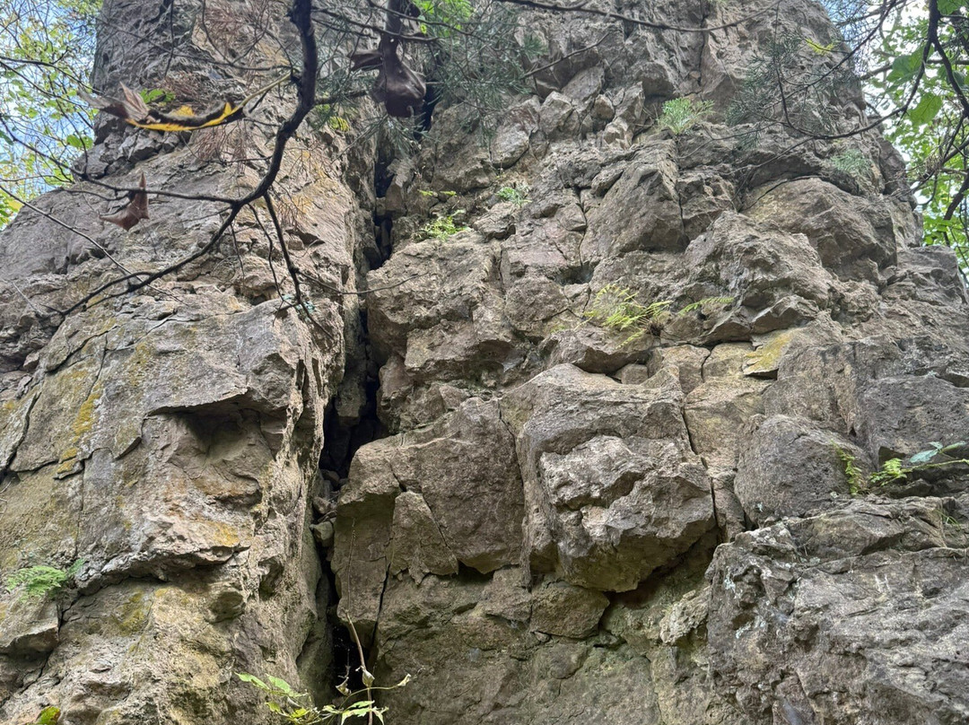 Whitewater State Park-Altura必去景点