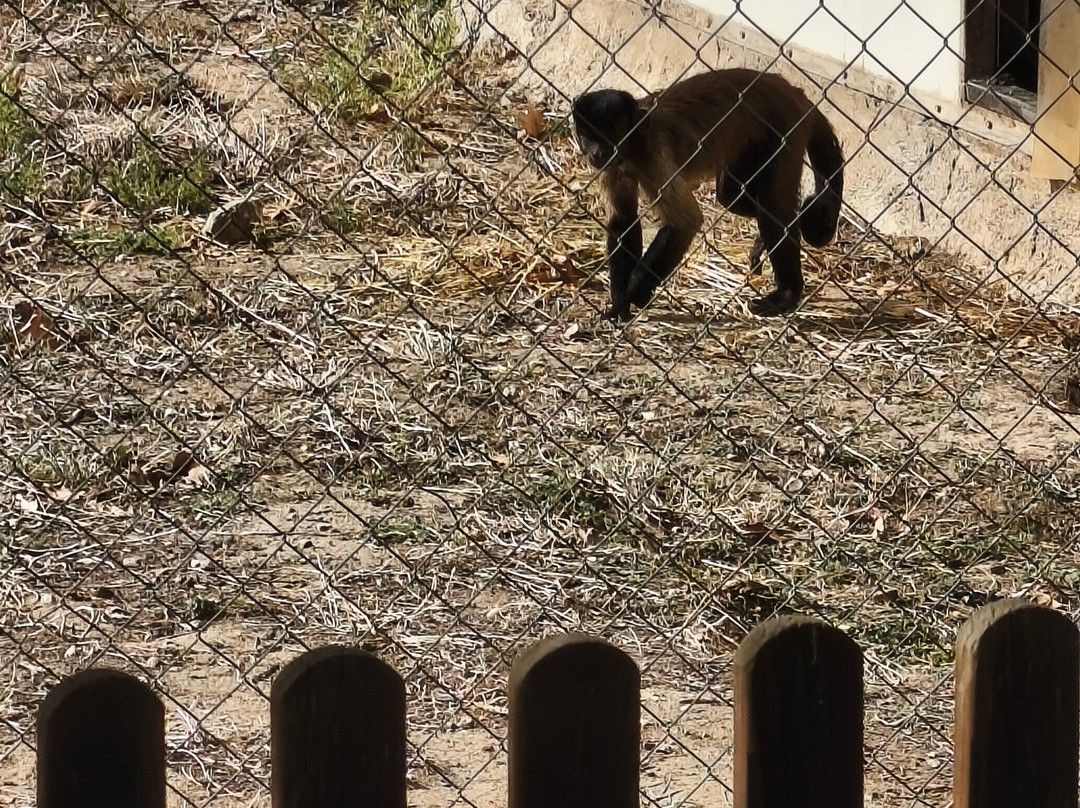 Centro De Rescate Y Recuperación De Primates Rainfer-Fuente El Saz De Jarama必去景点