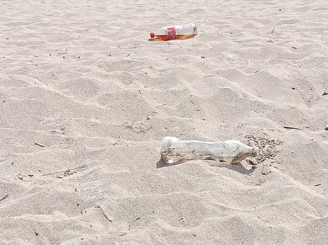 Playa San Pedrito-曼萨尼约必去景点