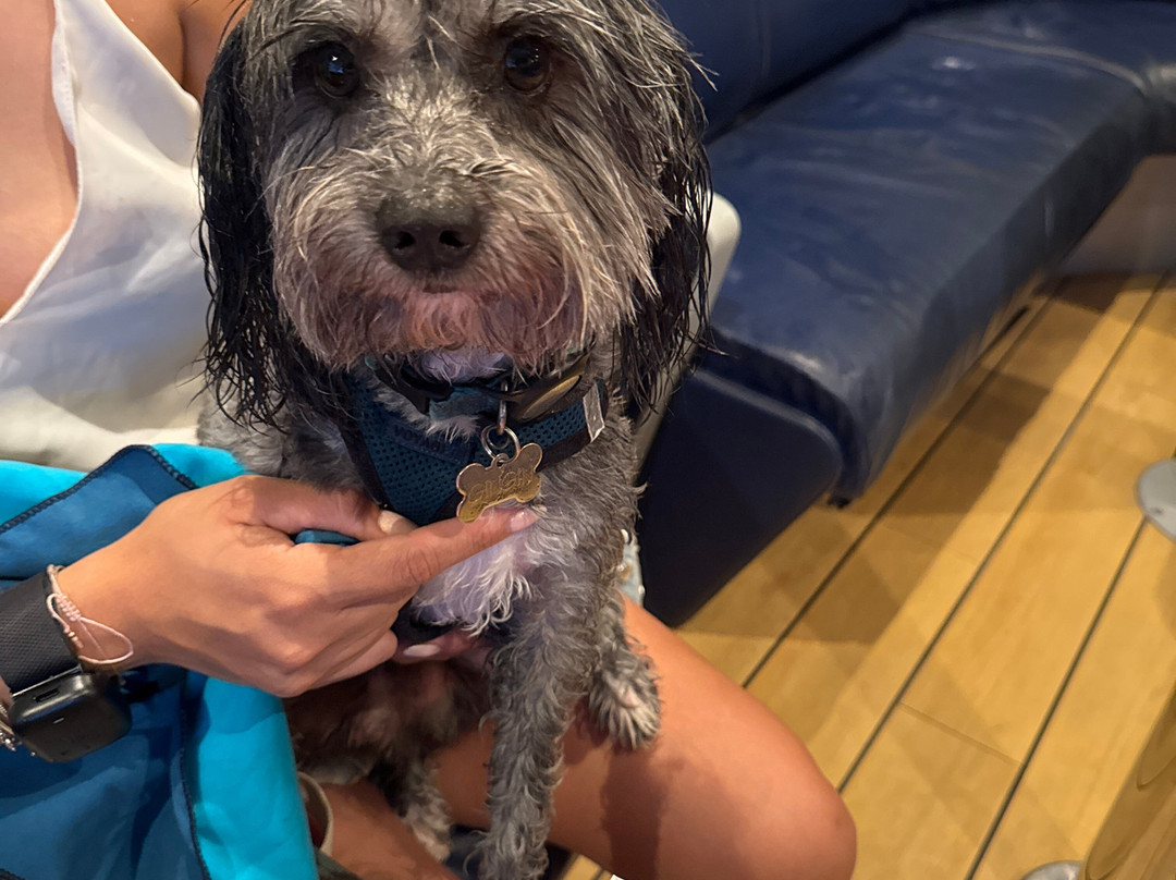 Ultramar Playa Del Carmen-普拉亚德尔卡曼必去景点