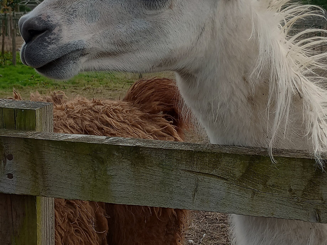 Grange Farm-Lowton必去景点