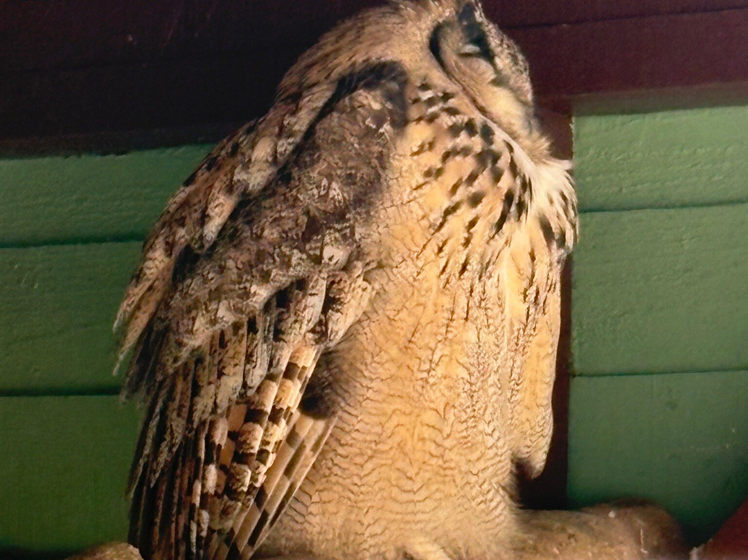 猴子天堂-纽波特必去景点