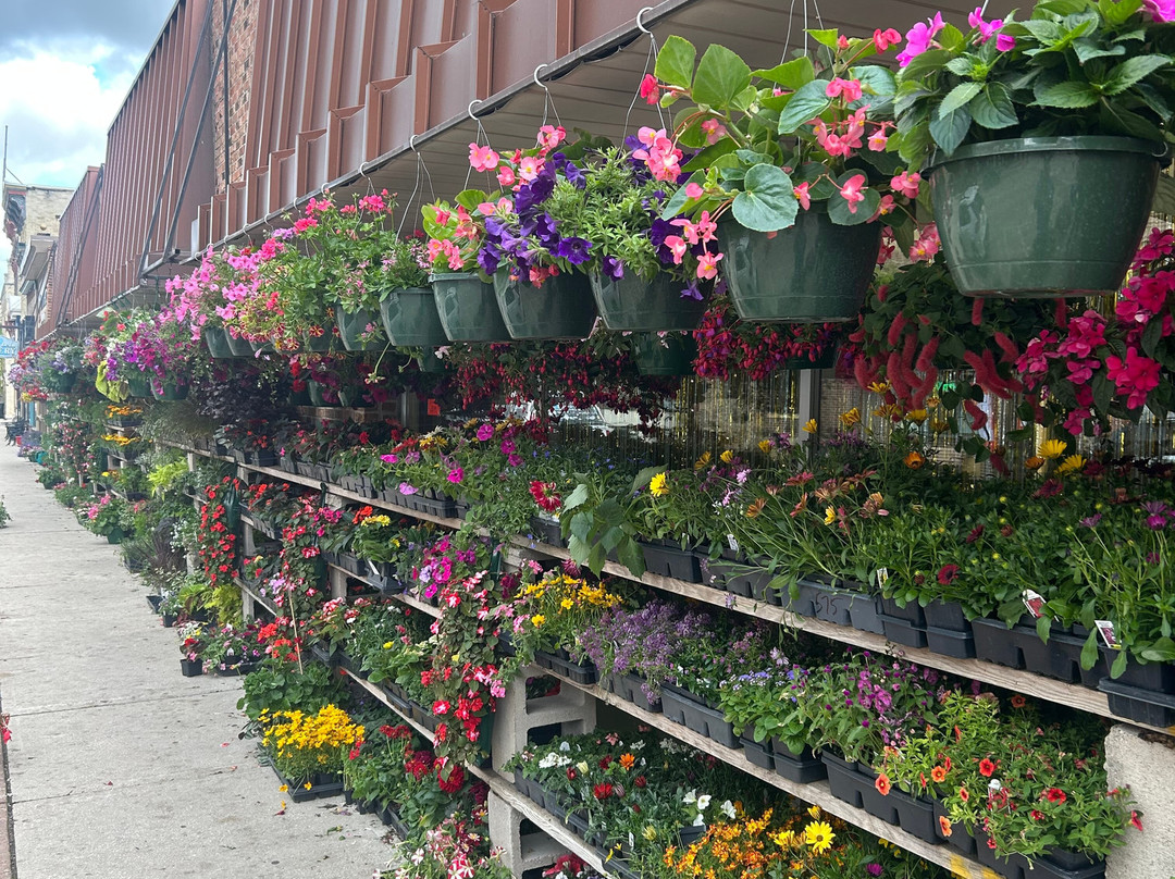 Evans-希博伊根必去景点