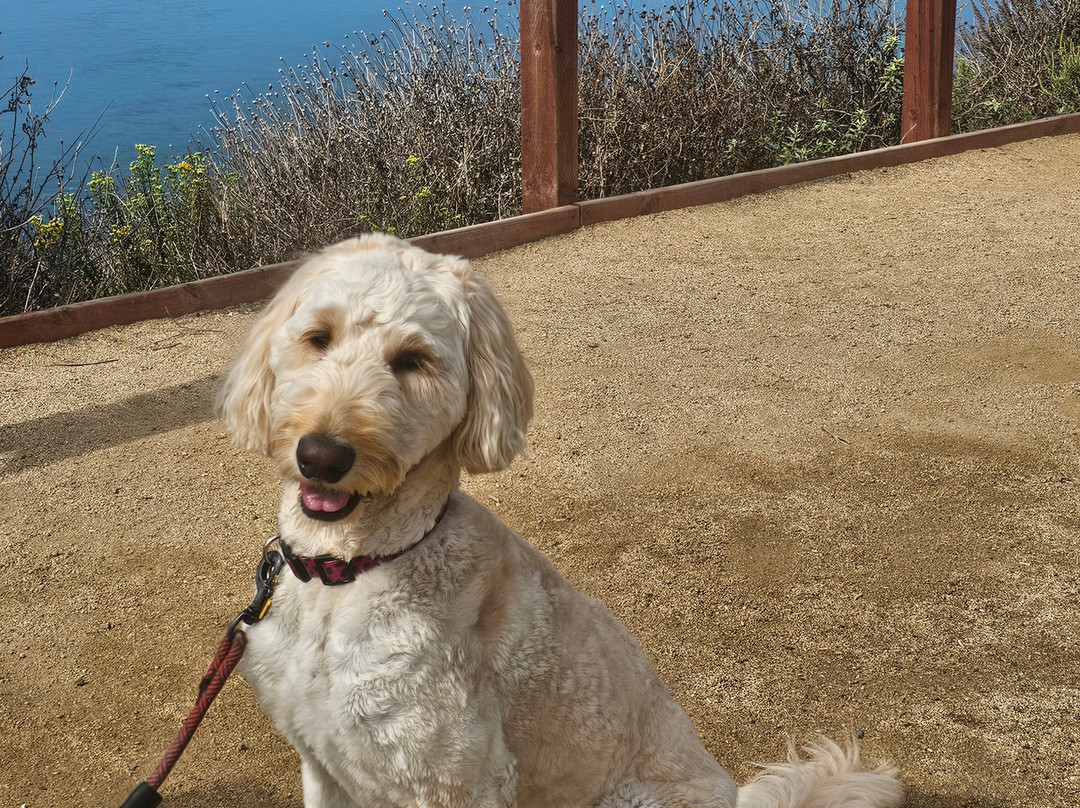 San Elijo Lagoon Ecological Reserve-Cardiff-by-the-Sea必去景点
