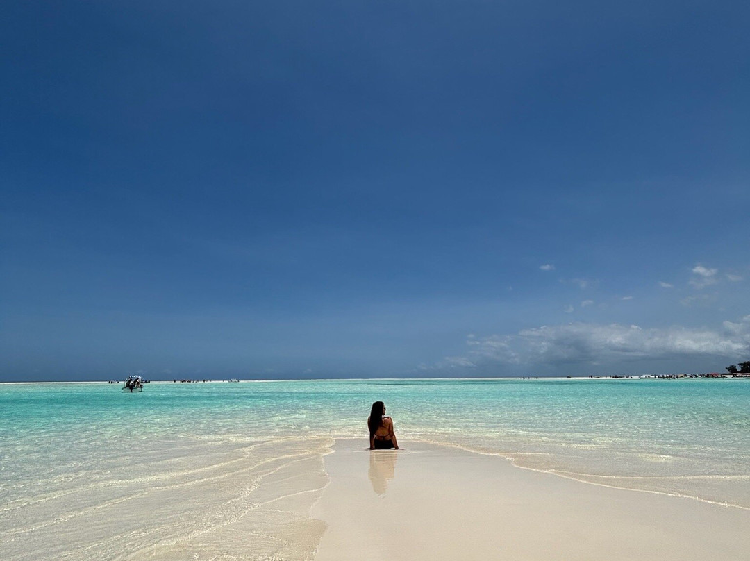 Zanzibar crystal water dolphins&snorkeling tours.-Unguja City必去景点