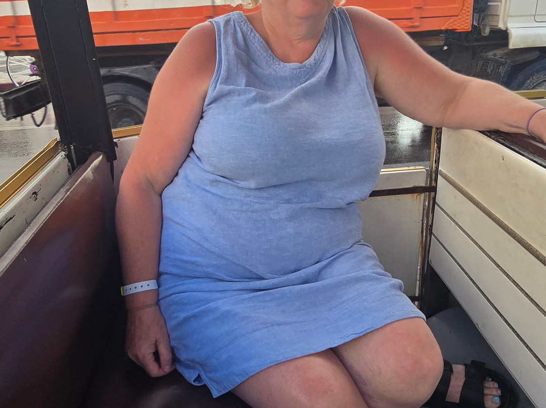 Noddy Train-康大维港必去景点