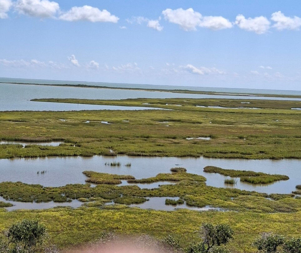 Aransas National Wildlife Refuge-Austwell必去景点