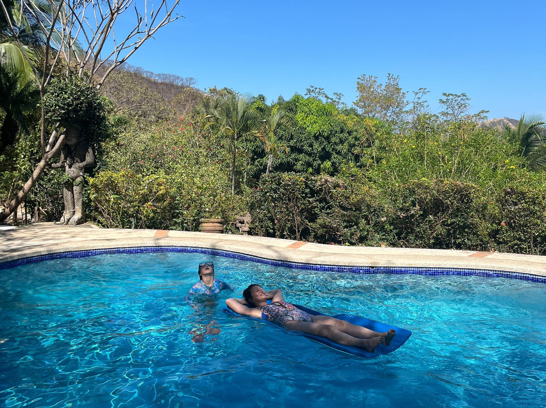 Rancho Armadillo Estate主图