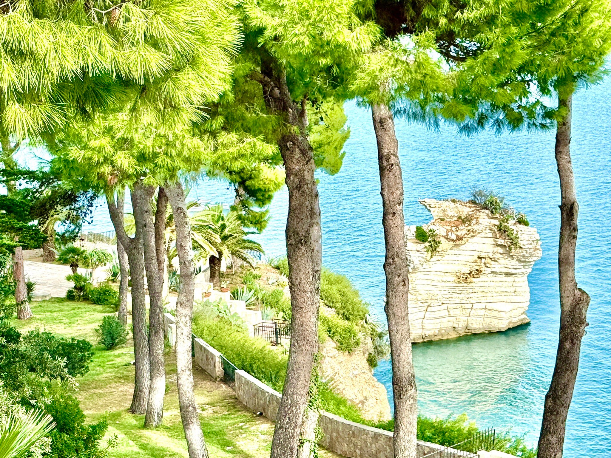 Baia Delle Zagare - Handwritten Collection-官方