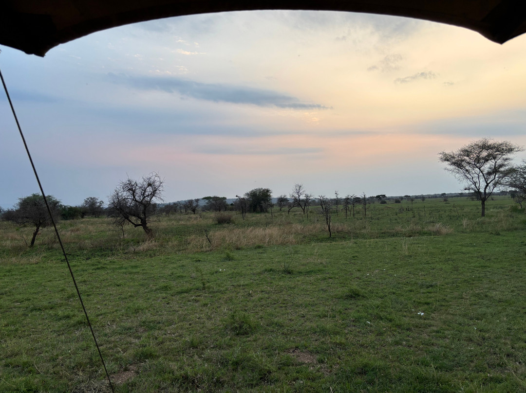 Glimpse of Africa Tented Camp-Ikoma必去景点