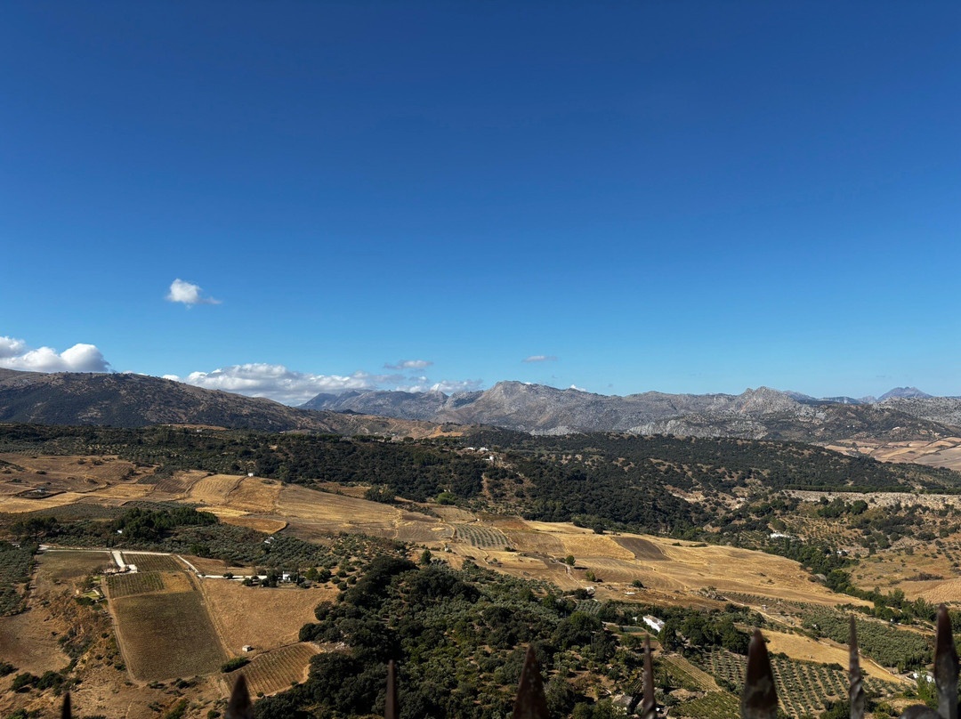 Ronda Tours-隆达必去景点
