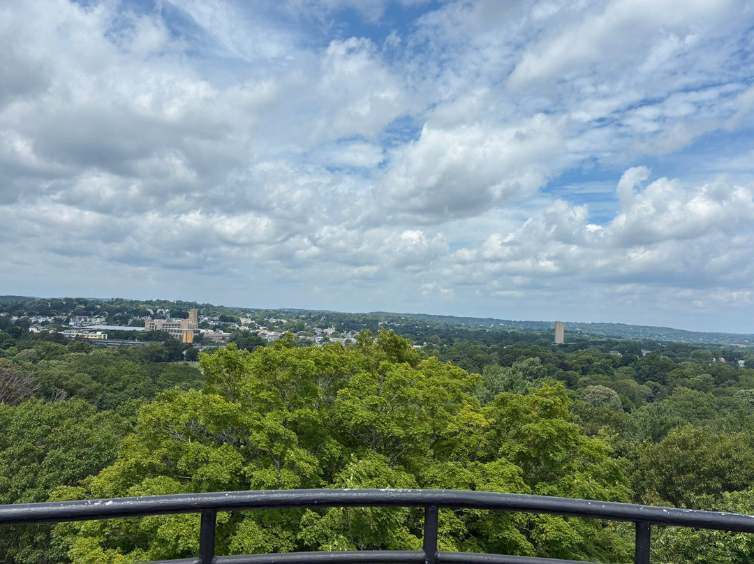 奥本山公墓公园-剑桥必去景点
