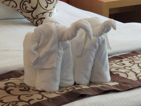 京那巴登岸湿地度假村主图